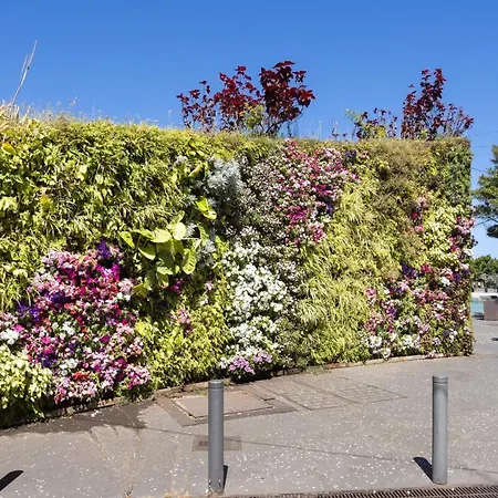 Home2book Centric & Cozy Flat Rambla Cruz סנטה קרוז דה טנריף