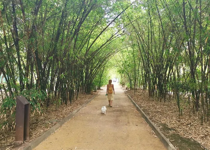 Апартаменты Home2book Centric & Cozy Flat Rambla Cruz *