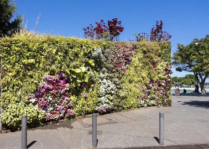 Home2book Centric & Cozy Flat Rambla Cruz Santa-Cruz de Ténérife