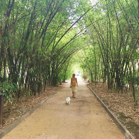 Daire Home2book Centric & Cozy Flat Rambla Cruz *